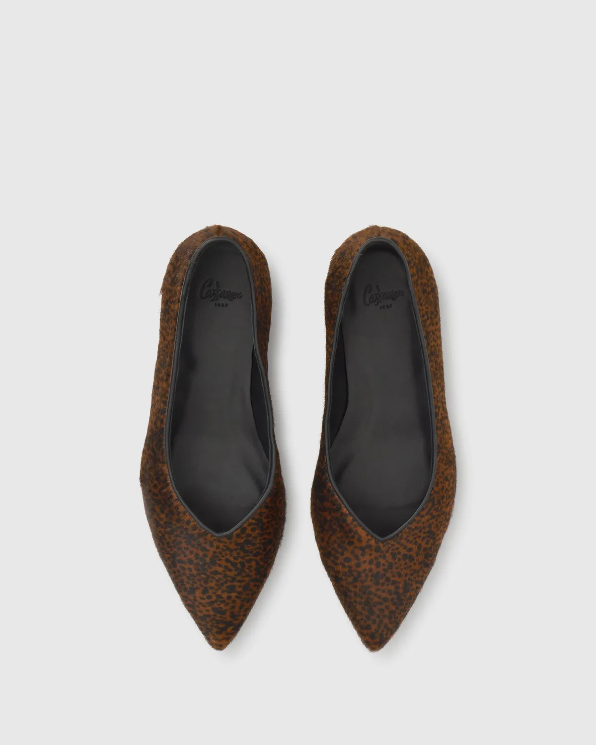 Castaner Troya 310 ballerina luipaard leer