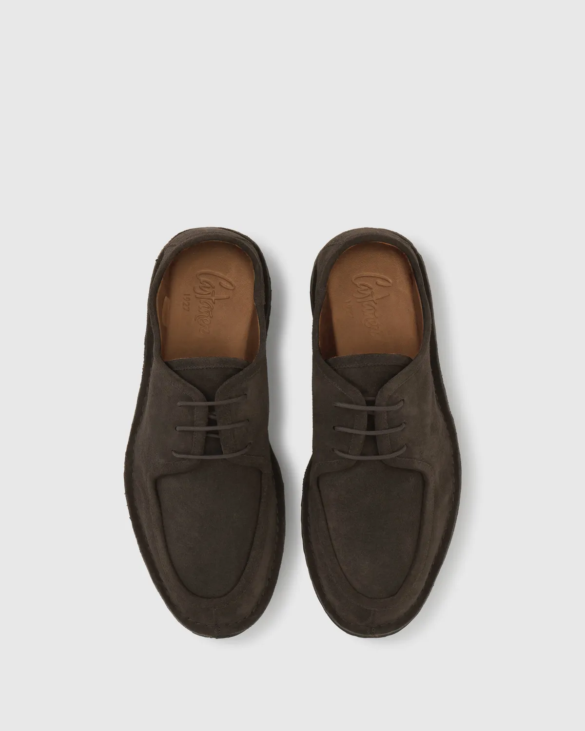 Castaner Larry 186 veterschoenen café suède