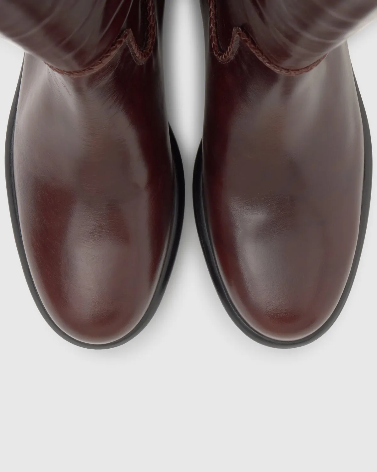 Castaner Eli 313 platte enkellaars bruin nappa
