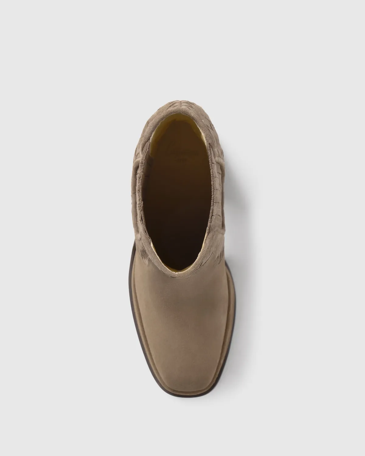 Castaner Blanche 186 enkellaarzen topo suède