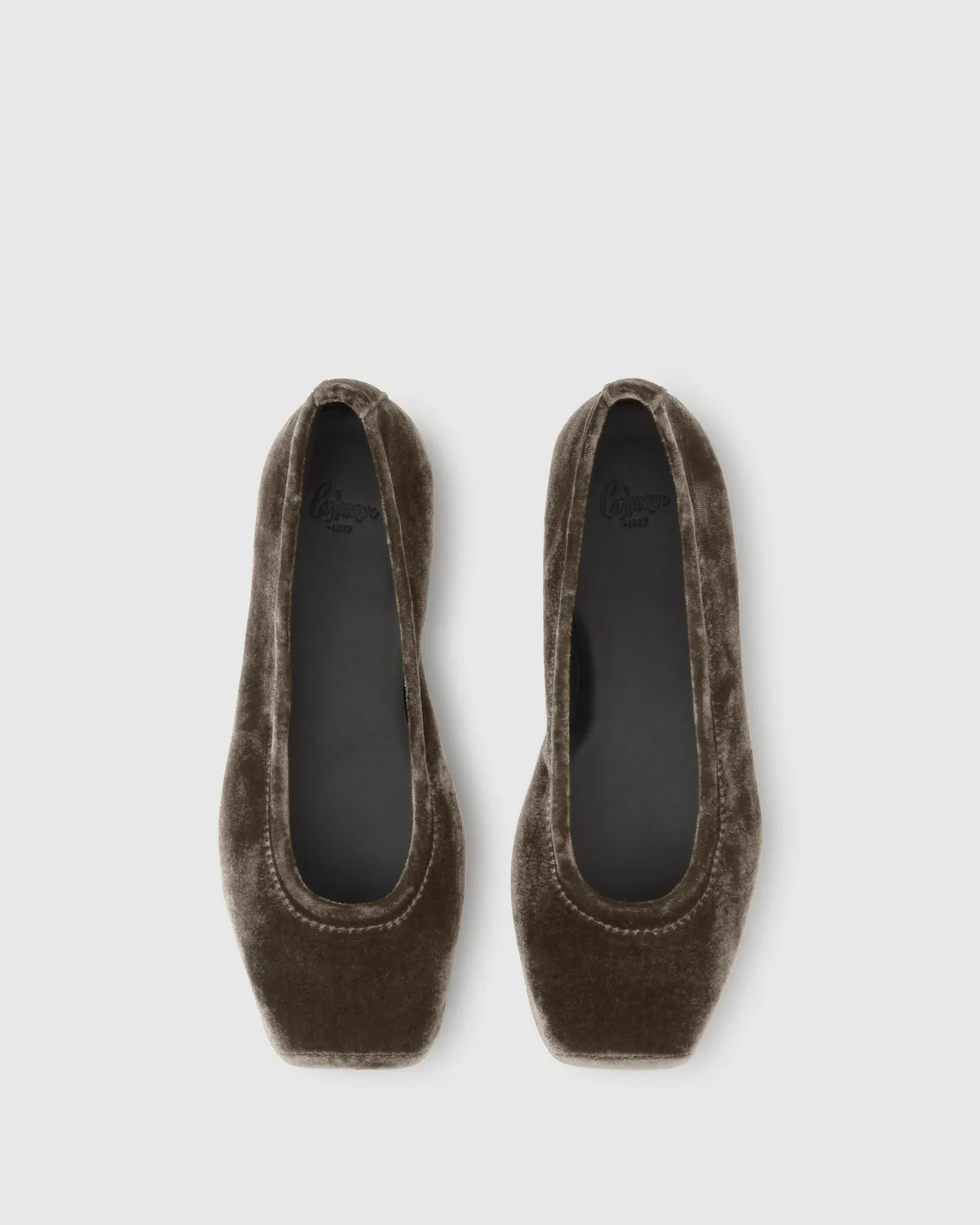 Castaner Gema 311 ballerina donkerbruin fluweel