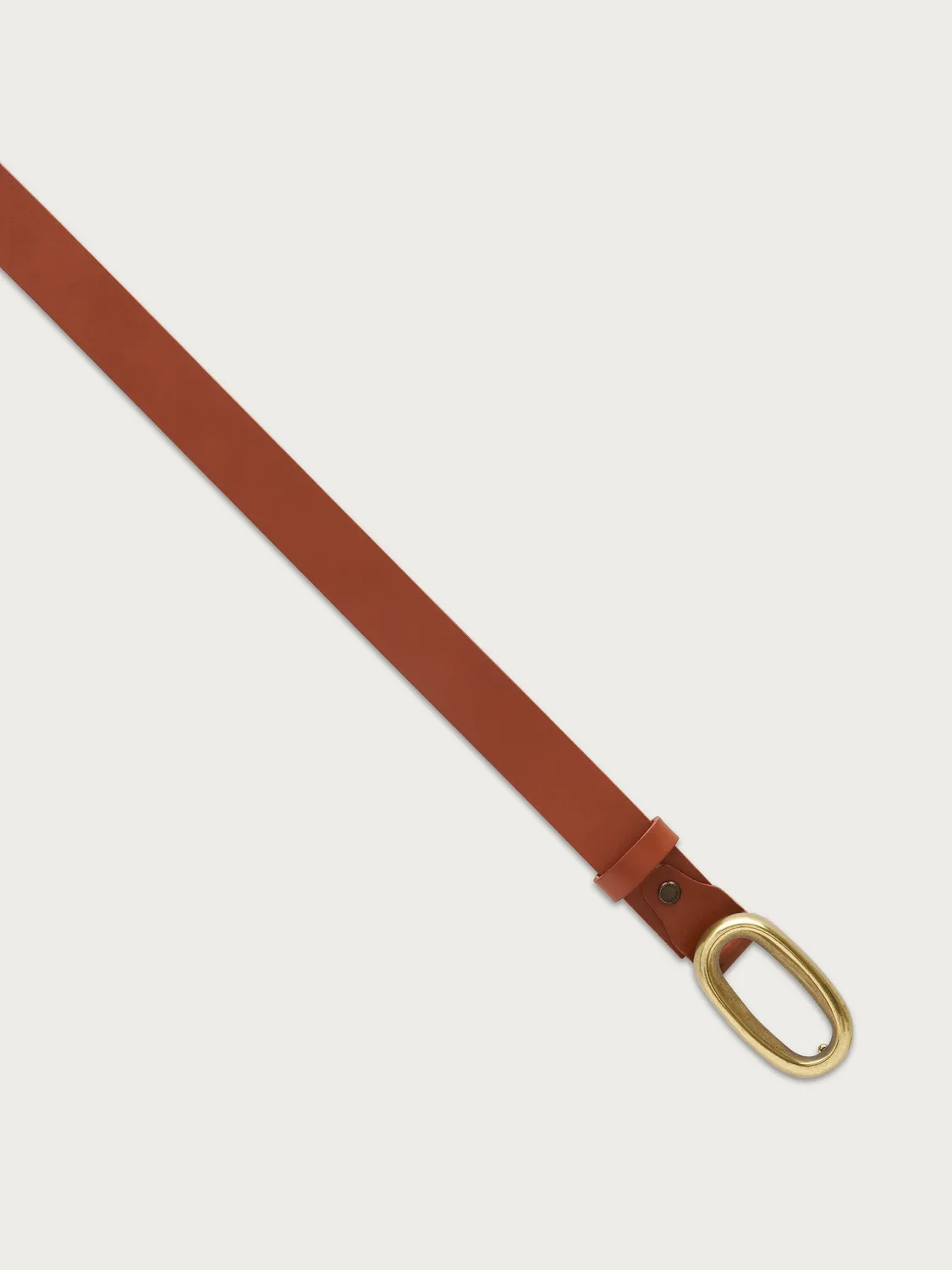 Frau bruine leren riem dames messing gesp