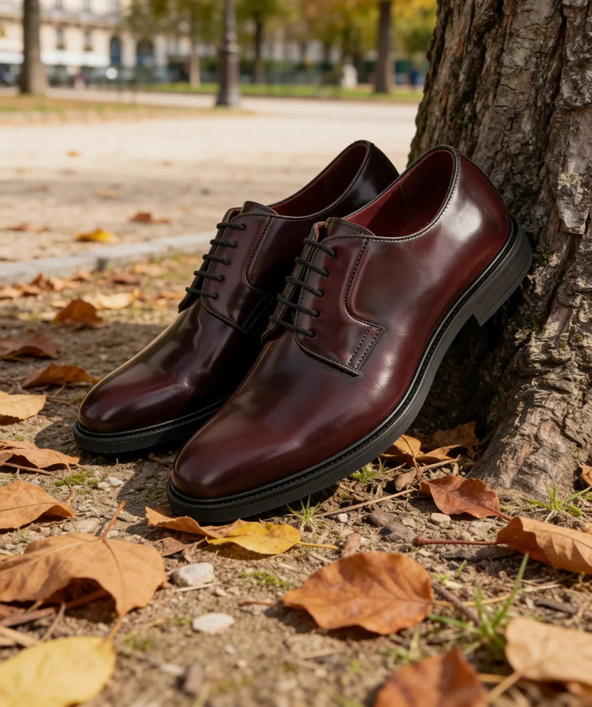 Finsbury Noham derby schoenen bordeaux leer breed