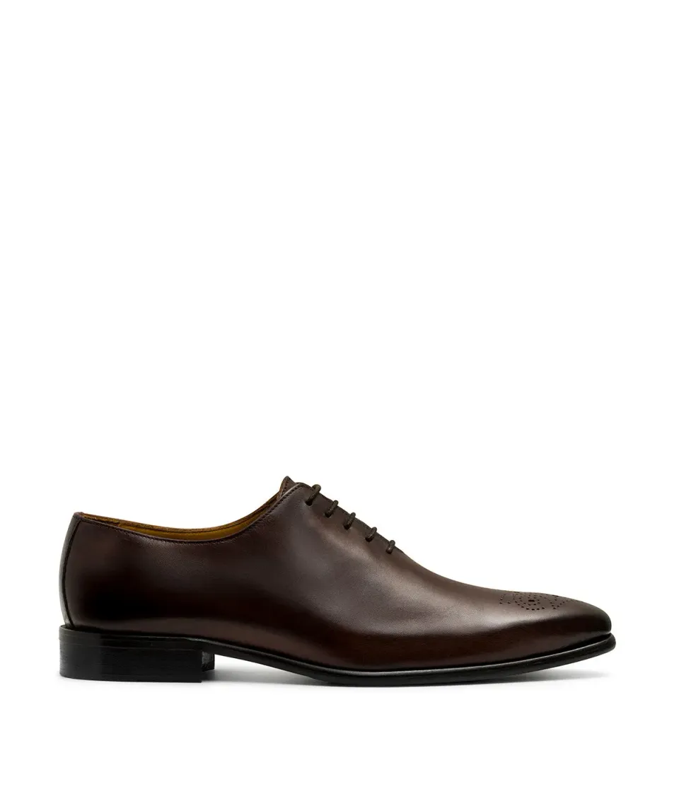 Finsbury Dario Oxford Schoenen Bruin Leer