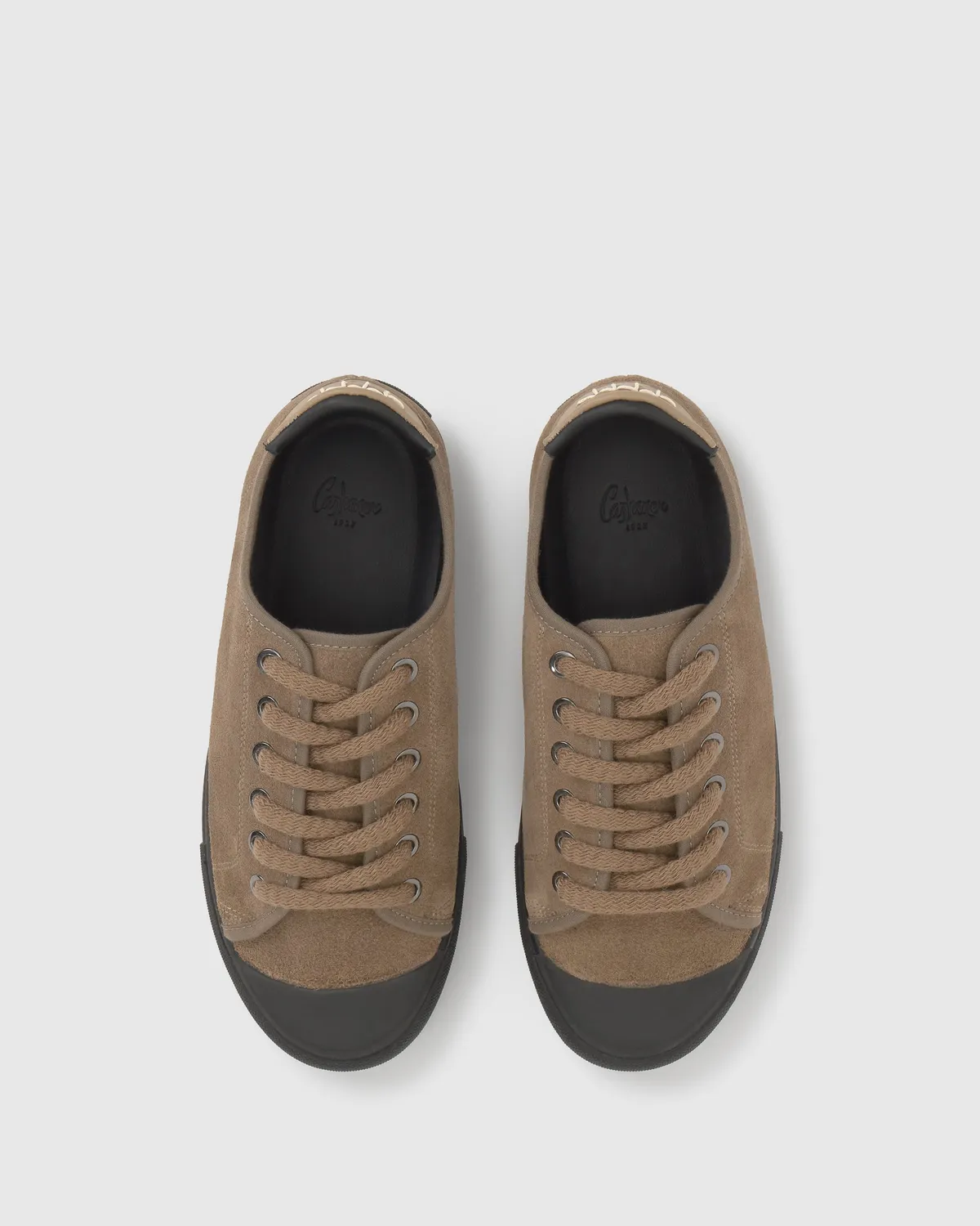 Castaner Zira 186 sneakers taupe suède