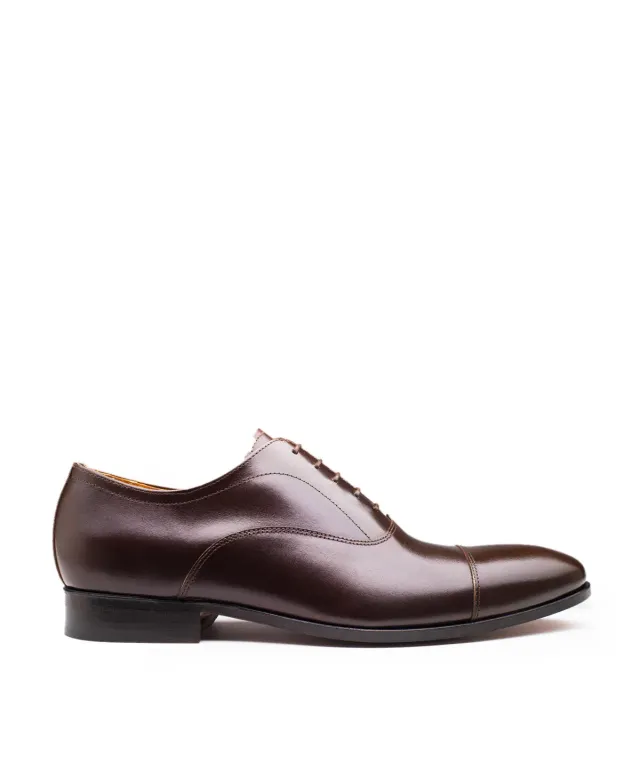 Finsbury Whitney oxford schoenen donkerbruin glad leer