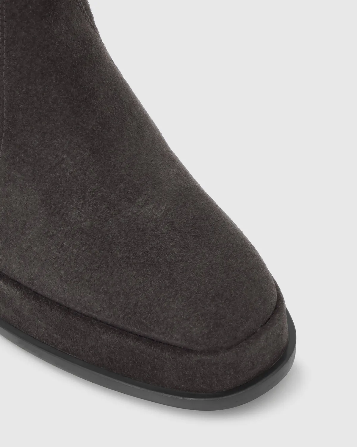 Castañer BECKY/186 enkellaarzen carbon suède