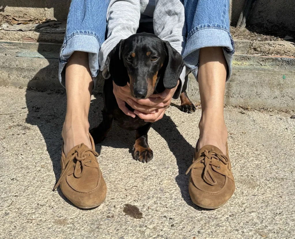 Bryan Stepwise Abby bootschoenen camel suède