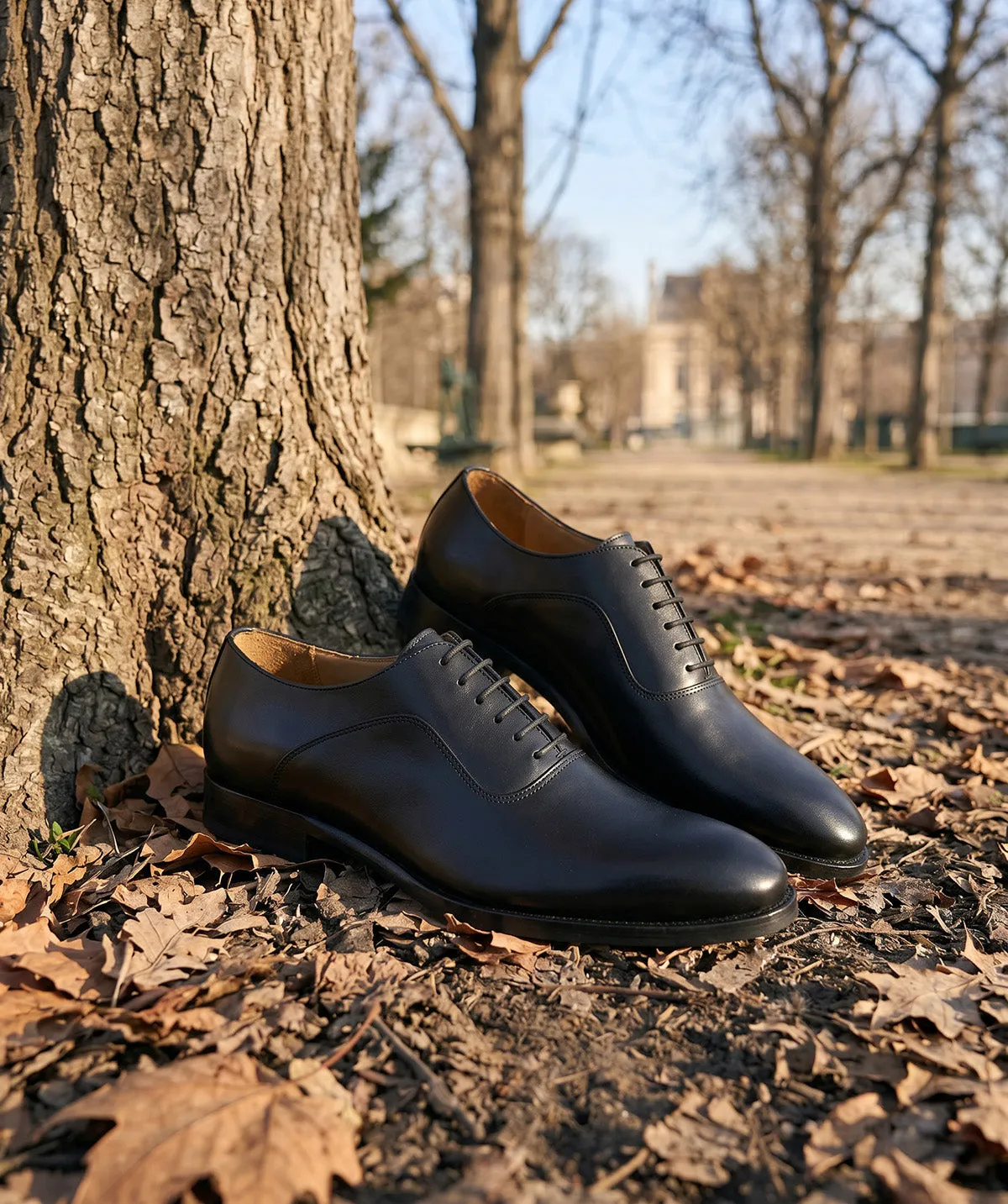 Finsbury Andreas Oxford schoenen zwart leer