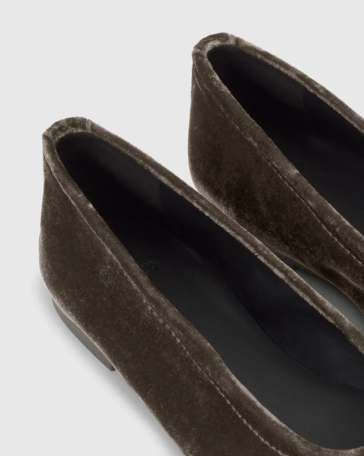 Castaner Gema 311 ballerina donkerbruin fluweel